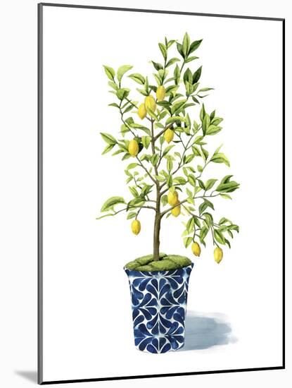 Fruit Tree II-Grace Popp-Mounted Art Print