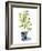 Fruit Tree II-Grace Popp-Framed Art Print