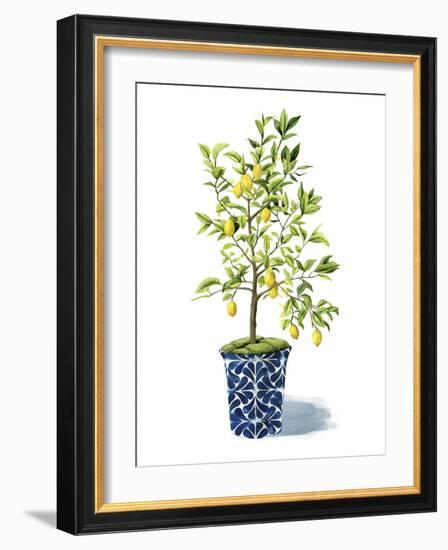 Fruit Tree II-Grace Popp-Framed Art Print