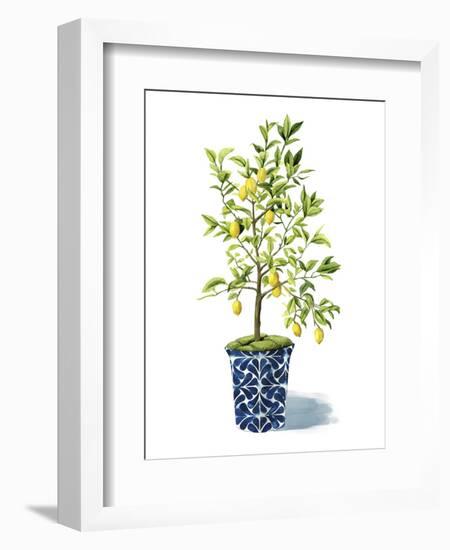 Fruit Tree II-Grace Popp-Framed Art Print