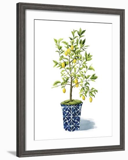 Fruit Tree II-Grace Popp-Framed Art Print