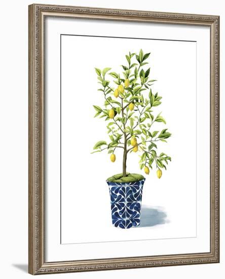 Fruit Tree II-Grace Popp-Framed Art Print