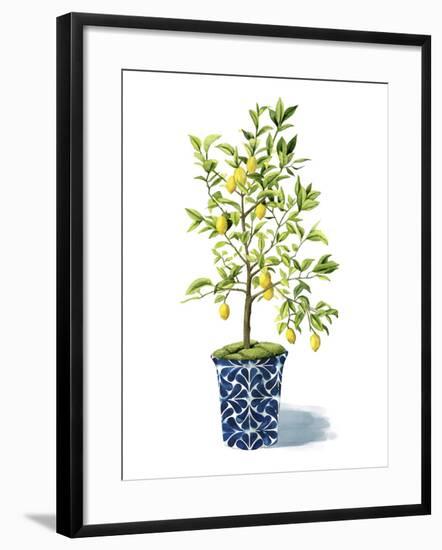 Fruit Tree II-Grace Popp-Framed Art Print