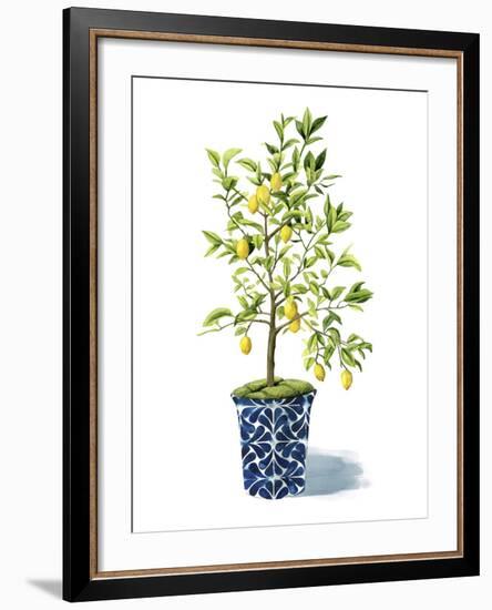 Fruit Tree II-Grace Popp-Framed Art Print