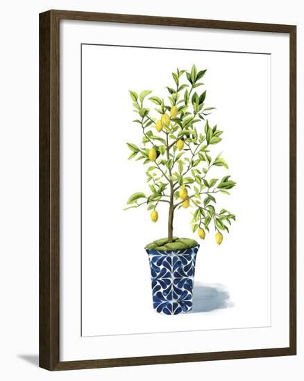 Fruit Tree II-Grace Popp-Framed Art Print