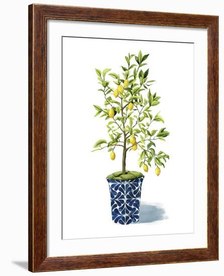 Fruit Tree II-Grace Popp-Framed Art Print