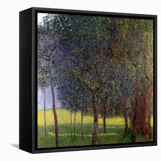 Fruit Trees, 1901-Gustav Klimt-Framed Premier Image Canvas