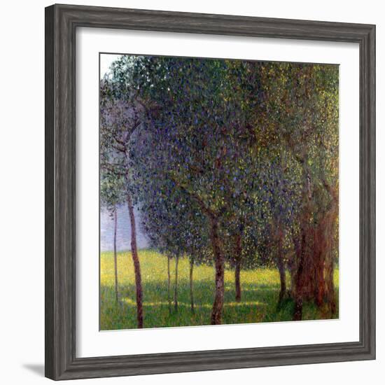 Fruit Trees, 1901-Gustav Klimt-Framed Giclee Print