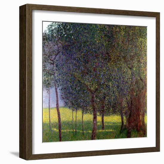 Fruit Trees, 1901-Gustav Klimt-Framed Giclee Print