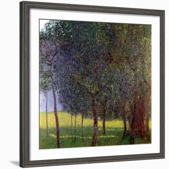 Fruit Trees, 1901-Gustav Klimt-Framed Giclee Print