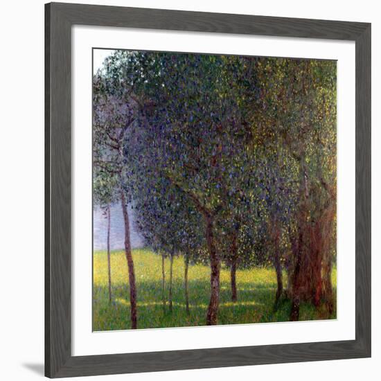 Fruit Trees, 1901-Gustav Klimt-Framed Giclee Print