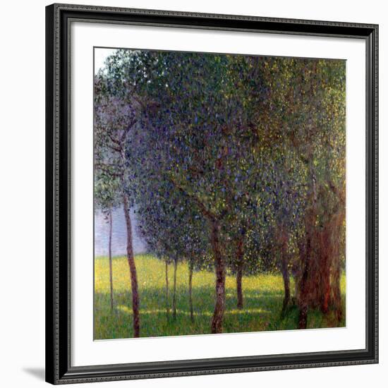 Fruit Trees, 1901-Gustav Klimt-Framed Giclee Print