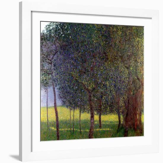 Fruit Trees, 1901-Gustav Klimt-Framed Giclee Print