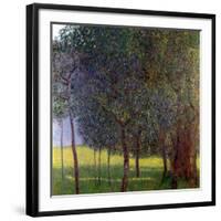Fruit Trees, 1901-Gustav Klimt-Framed Giclee Print