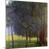 Fruit Trees, 1901-Gustav Klimt-Mounted Giclee Print