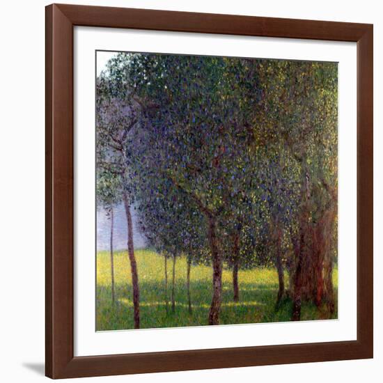 Fruit Trees, 1901-Gustav Klimt-Framed Giclee Print