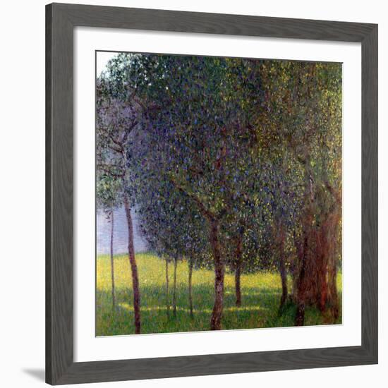 Fruit Trees, 1901-Gustav Klimt-Framed Giclee Print