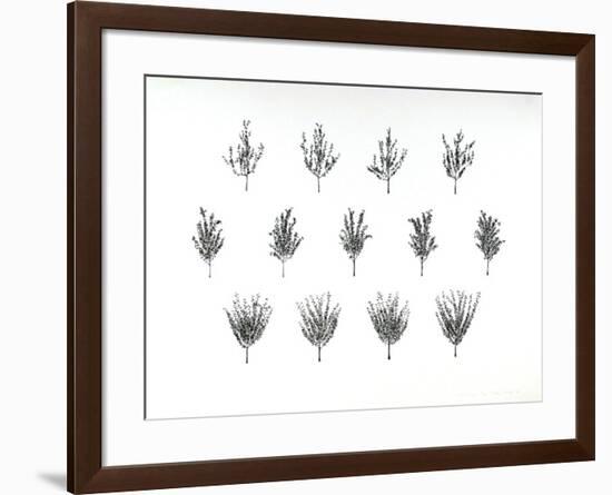 Fruit Trees from the A.I.R. Women's Portfolio-Patsy Norvell-Framed Collectable Print