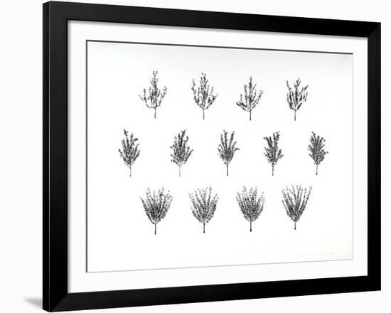 Fruit Trees from the A.I.R. Women's Portfolio-Patsy Norvell-Framed Collectable Print