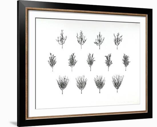 Fruit Trees from the A.I.R. Women's Portfolio-Patsy Norvell-Framed Collectable Print