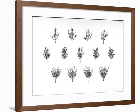 Fruit Trees from the A.I.R. Women's Portfolio-Patsy Norvell-Framed Collectable Print