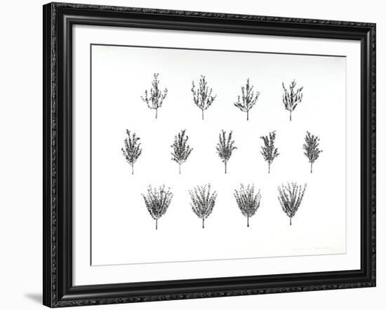 Fruit Trees from the A.I.R. Women's Portfolio-Patsy Norvell-Framed Collectable Print