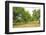 Fruit trees near Merzkirchen, Saargau, Rhineland-Palatinate, Germany, Europe-Hans-Peter Merten-Framed Photographic Print