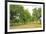 Fruit trees near Merzkirchen, Saargau, Rhineland-Palatinate, Germany, Europe-Hans-Peter Merten-Framed Photographic Print