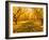 Fruit Trees Shed their Leaves after Harvest in Washington's Yakima Valley, Washington, Usa-Richard Duval-Framed Photographic Print