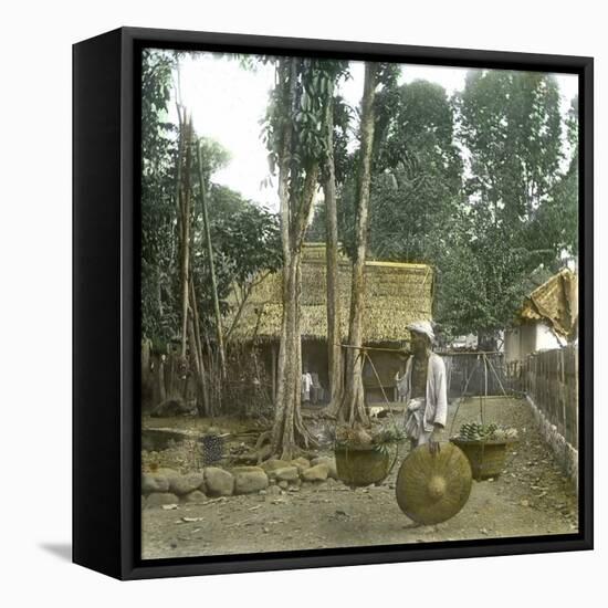 Fruit Vendor, Island of Java (Indonesia), around 1900-Leon, Levy et Fils-Framed Premier Image Canvas