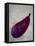 Fruit Watercolor-Melody Hogan-Framed Stretched Canvas
