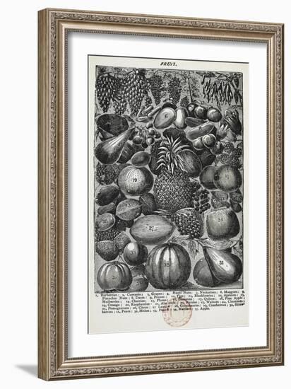 Fruit-Isabella Beeton-Framed Giclee Print