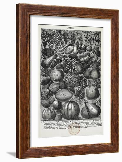 Fruit-Isabella Beeton-Framed Giclee Print