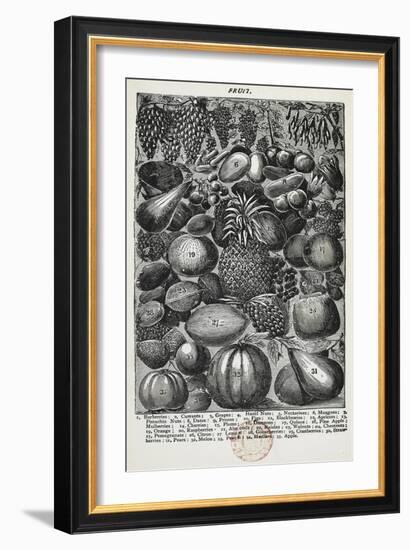 Fruit-Isabella Beeton-Framed Giclee Print