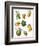 Fruit-English School-Framed Giclee Print