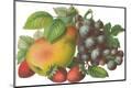 Premium Giclee Print