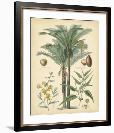 Fruitful Palm I-null-Framed Giclee Print