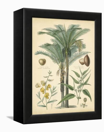 Fruitful Palm I-Vision Studio-Framed Stretched Canvas