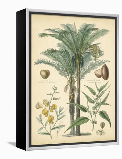 Fruitful Palm I-Vision Studio-Framed Stretched Canvas