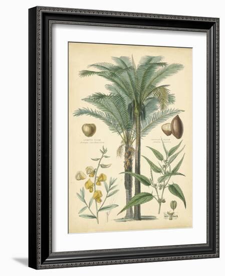 Fruitful Palm I-Vision Studio-Framed Art Print