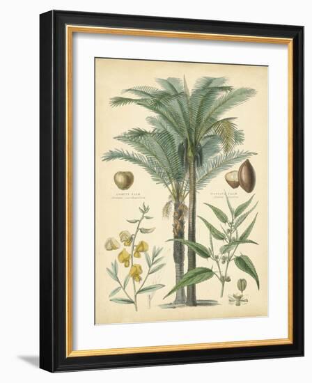 Fruitful Palm I-Vision Studio-Framed Art Print