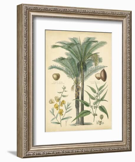 Fruitful Palm I-Vision Studio-Framed Art Print