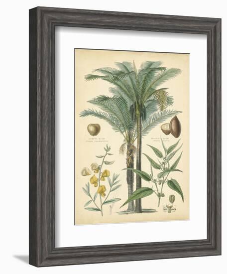 Fruitful Palm I-Vision Studio-Framed Art Print