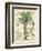 Fruitful Palm I-Vision Studio-Framed Art Print