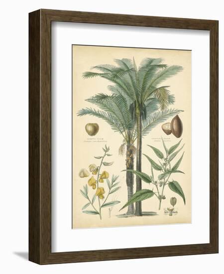 Fruitful Palm I-Vision Studio-Framed Art Print