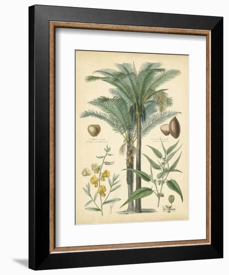 Fruitful Palm I-Vision Studio-Framed Art Print