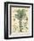 Fruitful Palm I-Vision Studio-Framed Art Print