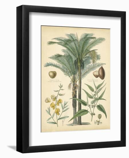 Fruitful Palm I-Vision Studio-Framed Art Print