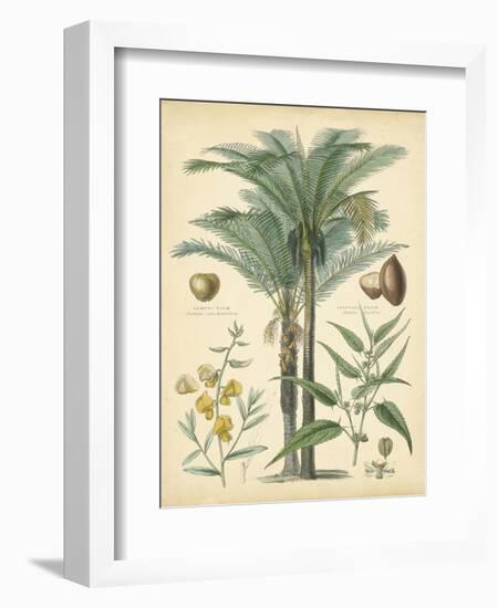 Fruitful Palm I-Vision Studio-Framed Art Print