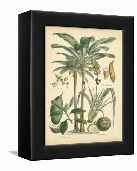 Fruitful Palm II-Vision Studio-Framed Stretched Canvas